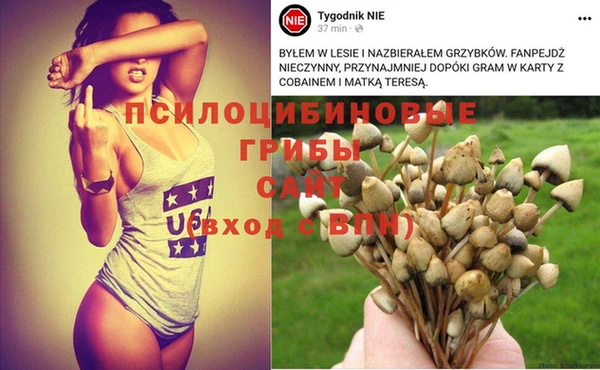 винт Абинск