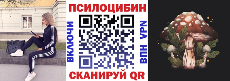 купить наркоту  Кострома  Псилоцибиновые грибы мицелий 