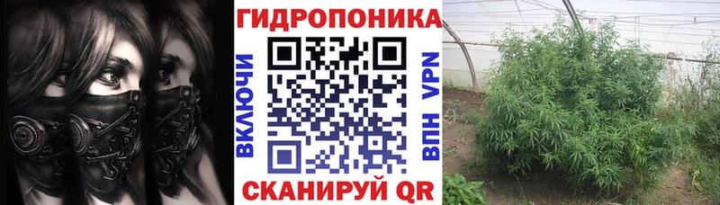 что такое   KRAKEN как зайти  Бошки Шишки SATIVA & INDICA  Кострома 
